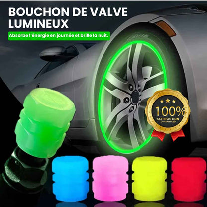 BOUCHON DE VALVES